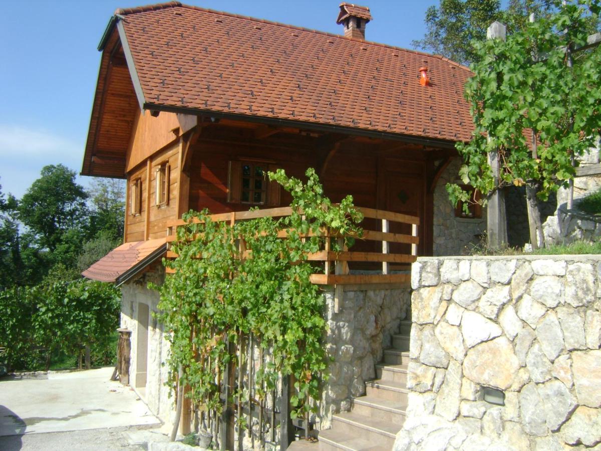 Vineyard Cottage Zidanca Med Vinogradi Otočec Buitenkant foto